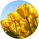 Christina Nicogossian Christina Nicogossian